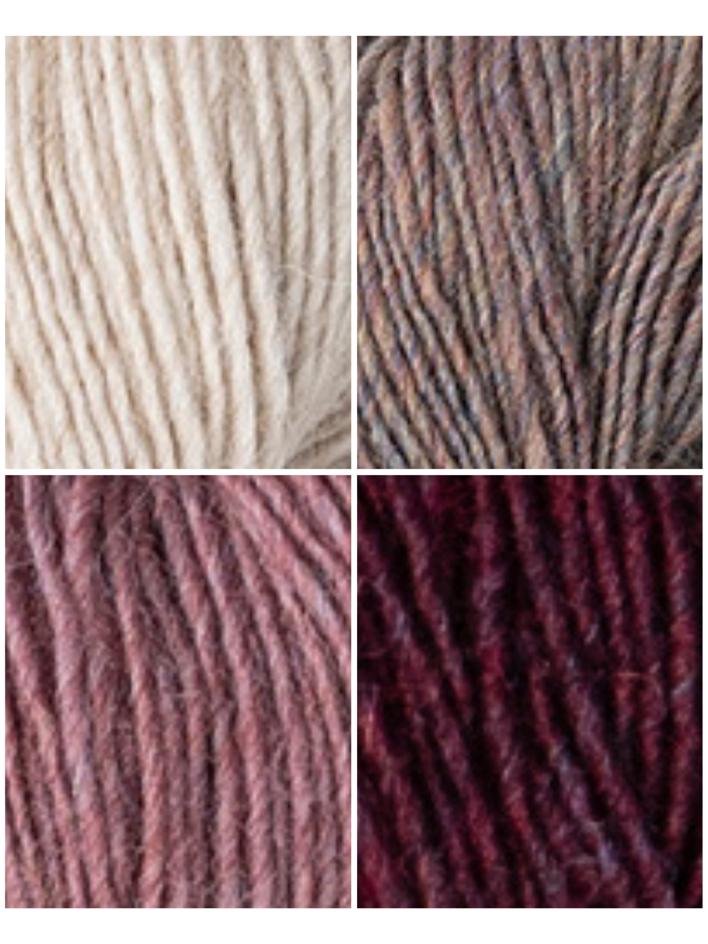 Persimmon Wrap Knit-Along (KAL)