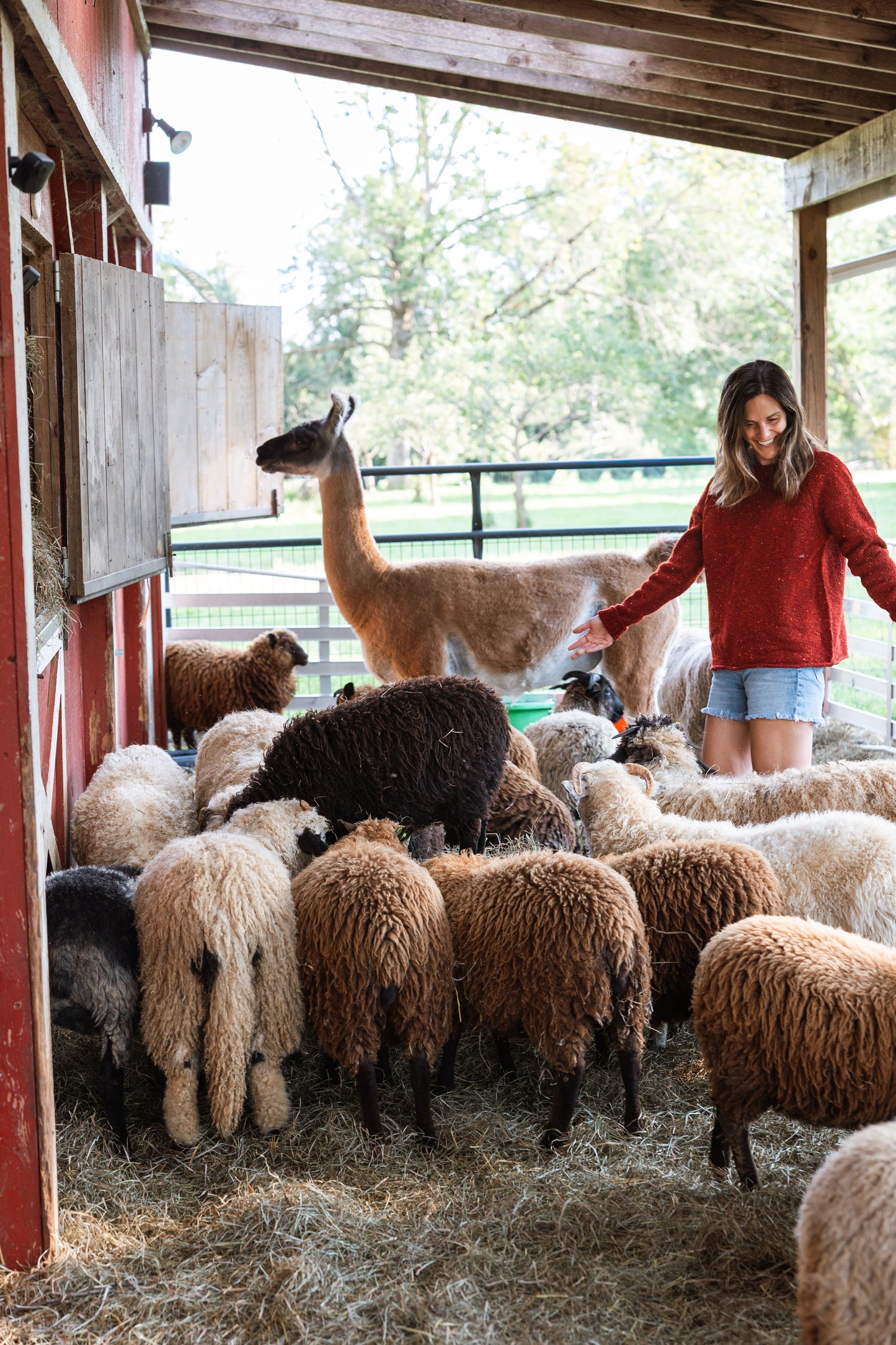 The Winter Lamb Sweater pattern