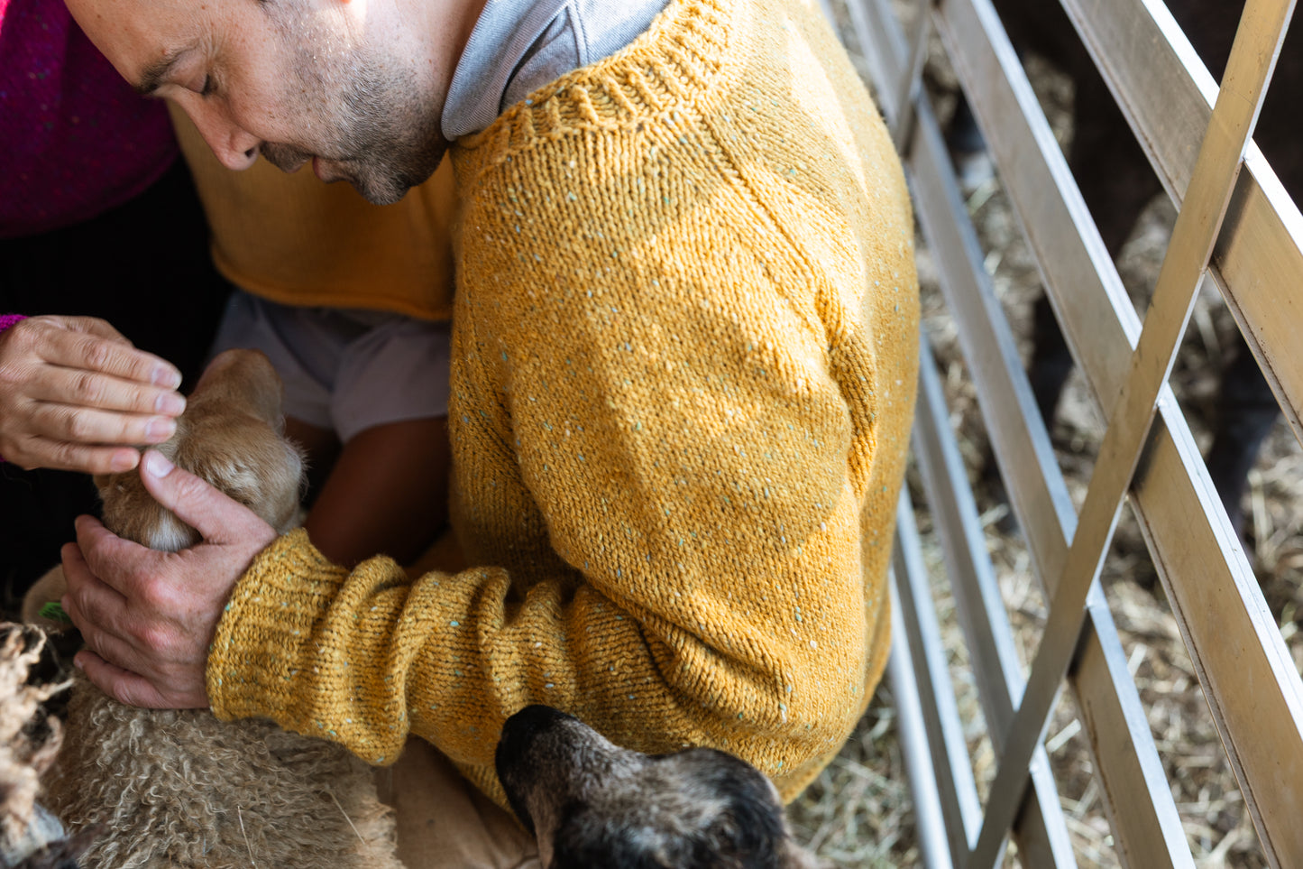 The Winter Lamb Sweater pattern