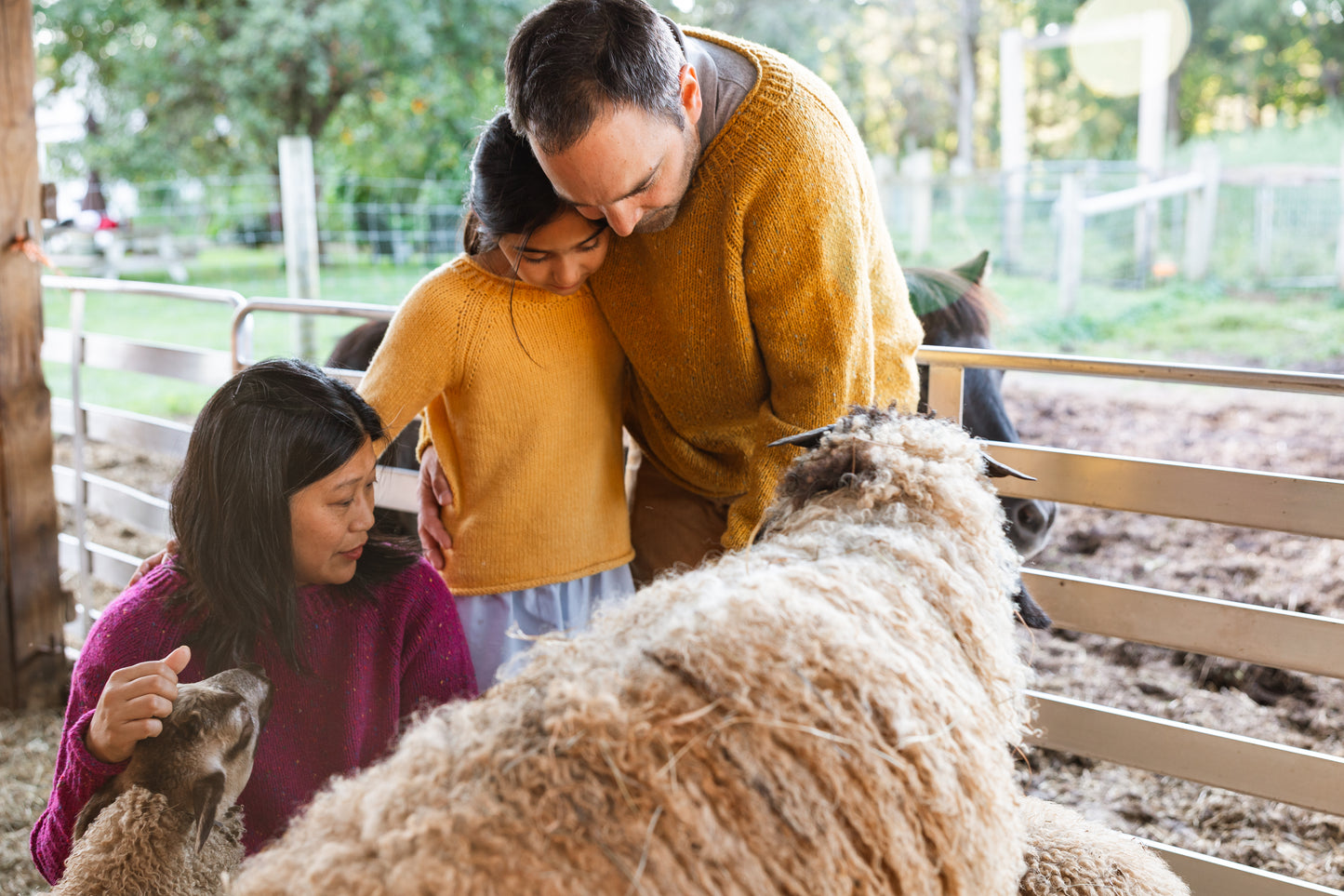 The Winter Lamb Sweater Pattern Bundle (Original + Child & Youth)