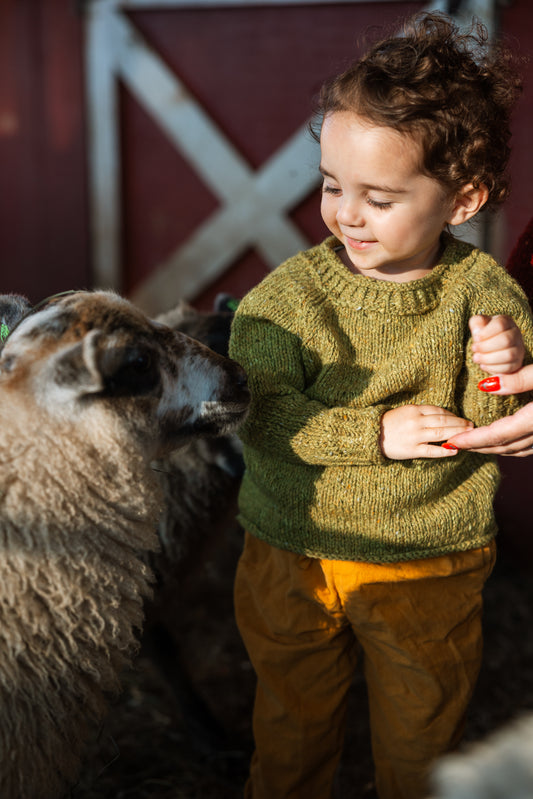 The Winter Lamb Child & Youth Sweater pattern