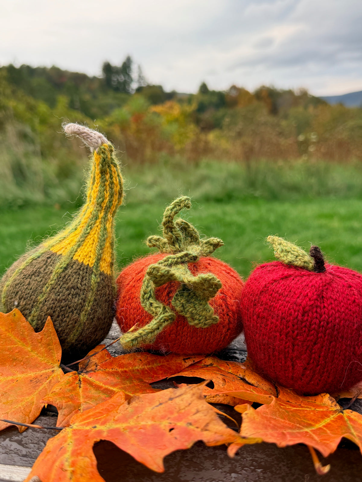 The Fall Trio Pattern