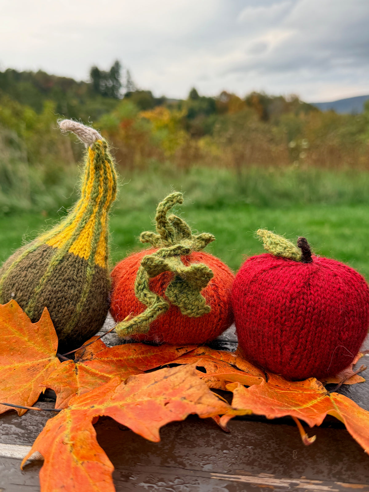 The Fall Trio Kit