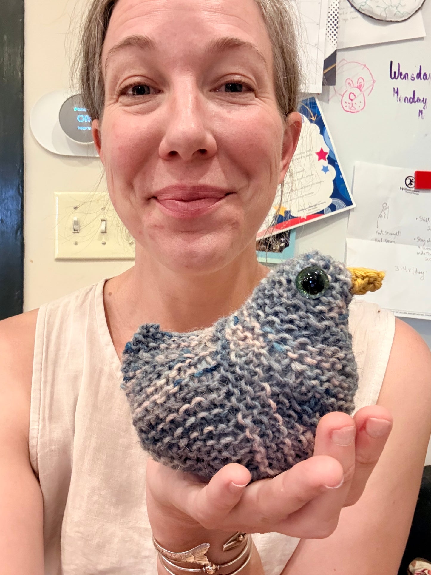 Who Gives a Cluck! A Sit & Knit for Emotional Support Chickens
