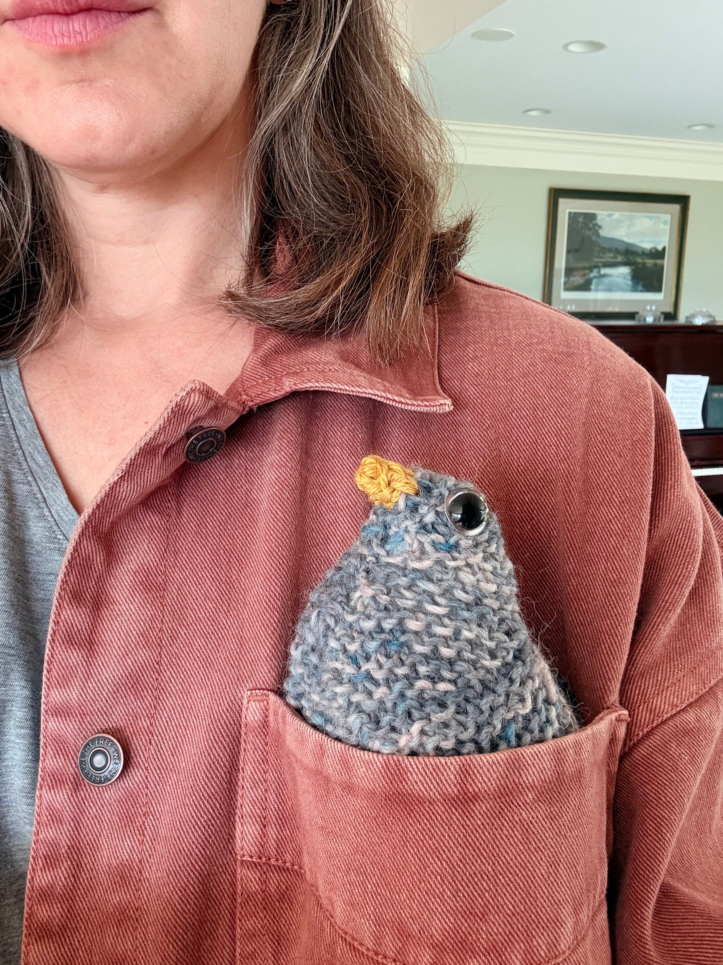 Who Gives a Cluck! A Sit & Knit for Emotional Support Chickens
