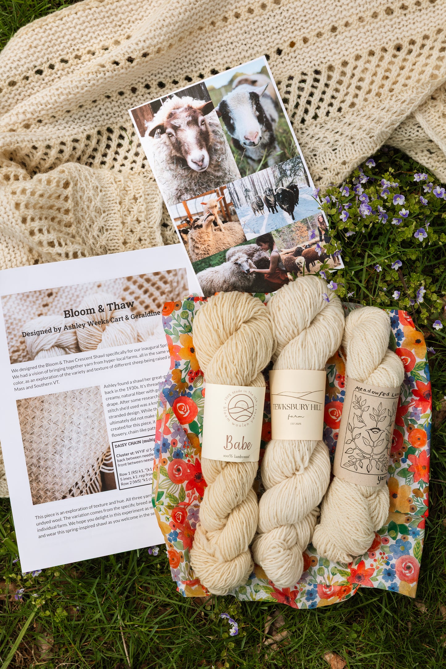Bloom and Thaw shawl kit