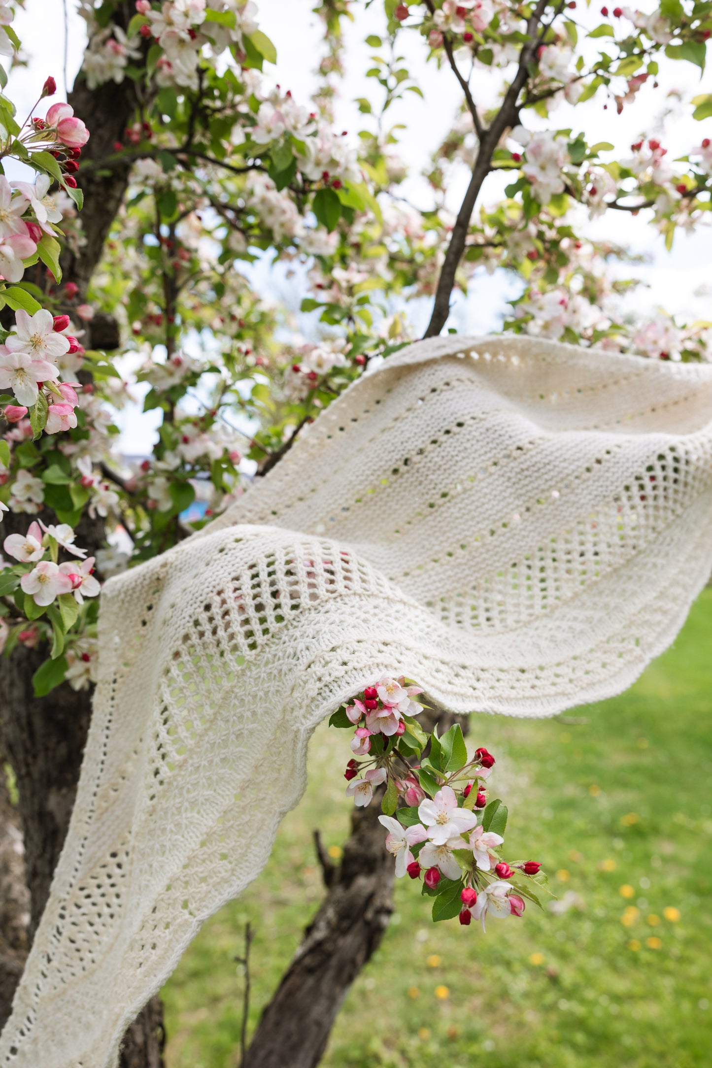 Bloom and Thaw shawl kit