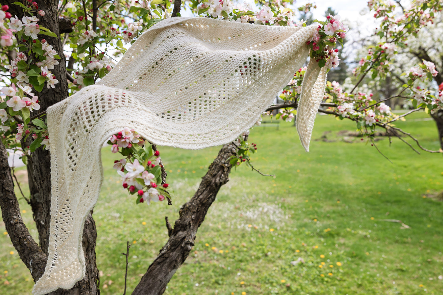 Bloom and Thaw shawl kit