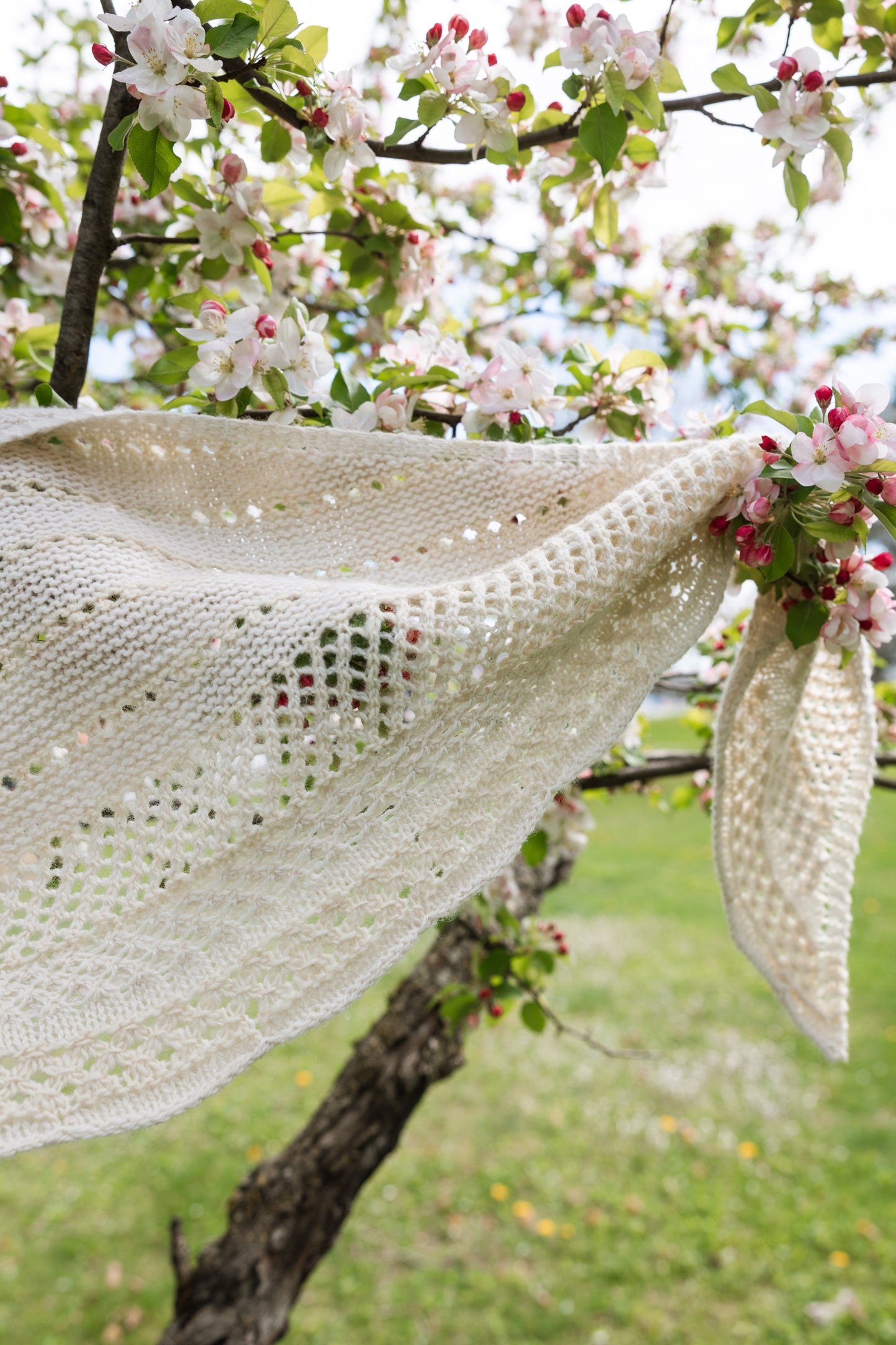 Bloom and Thaw shawl kit