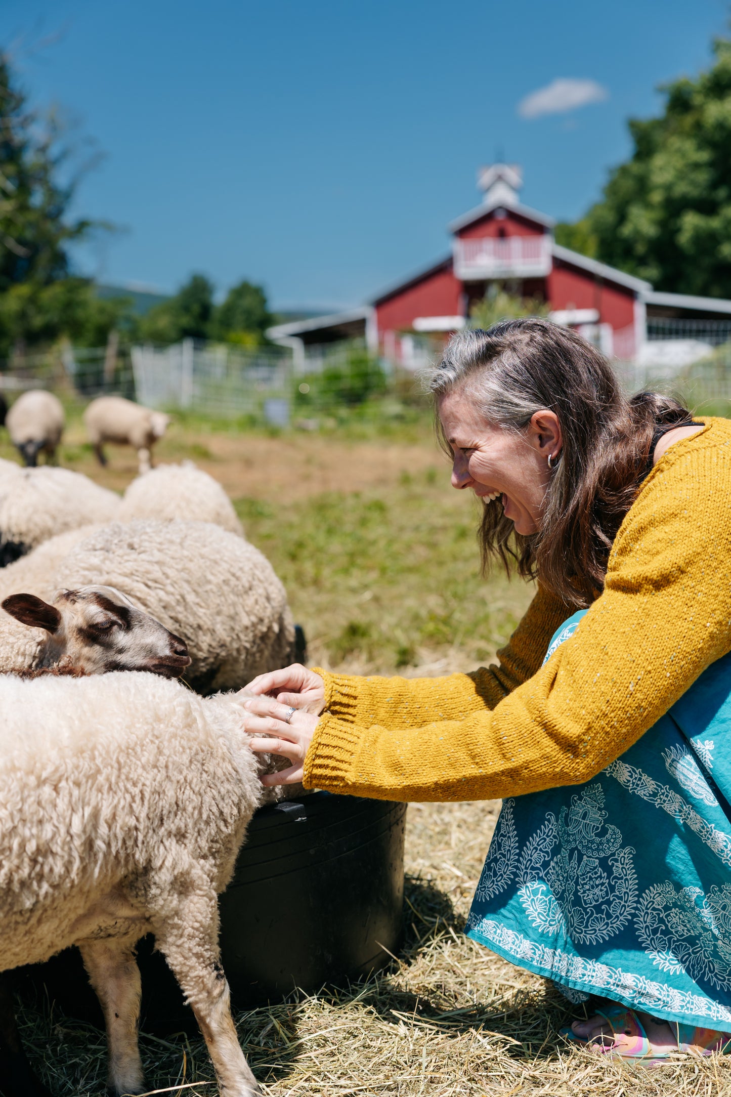 The Winter Lamb Sweater Kit