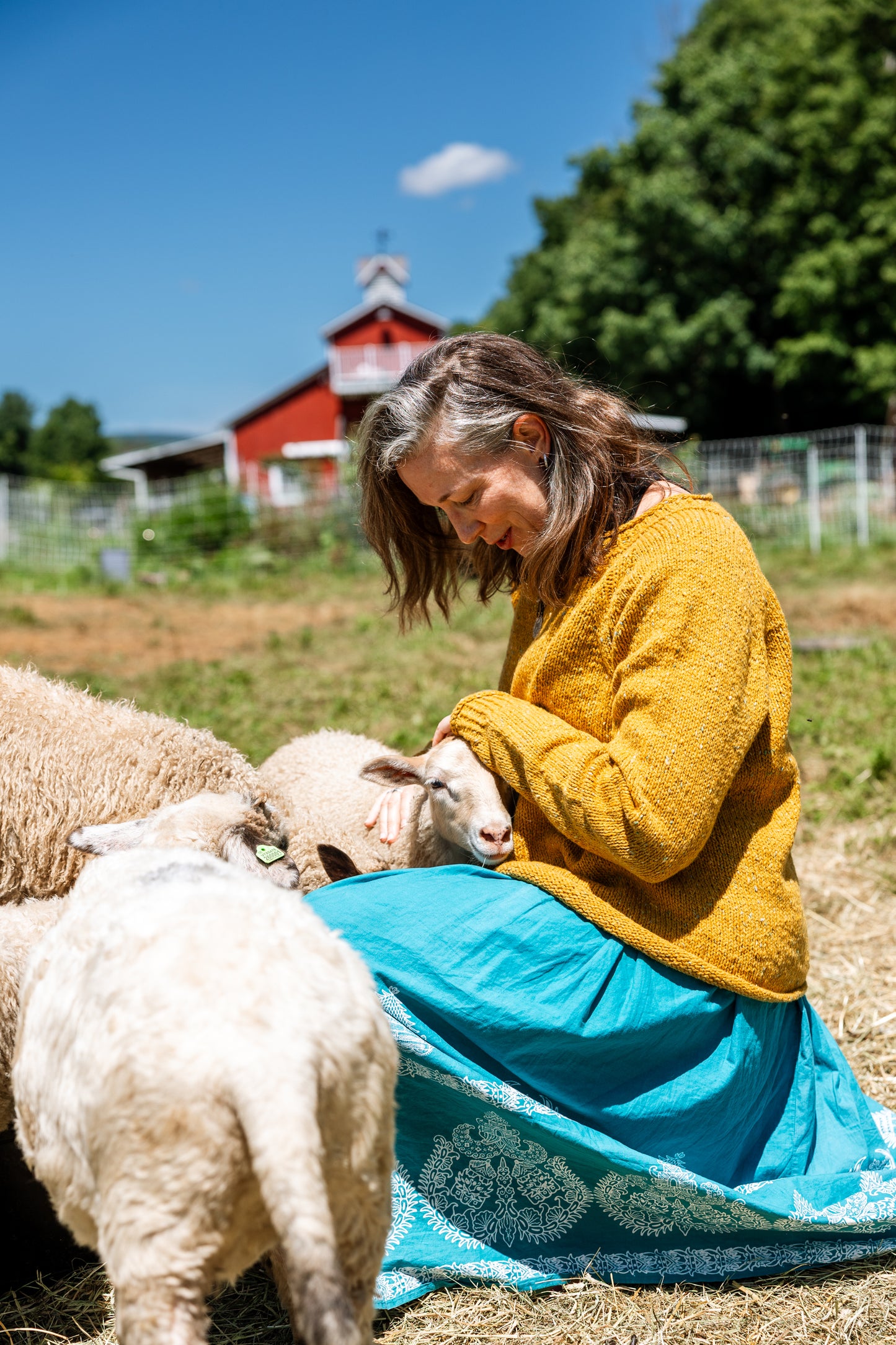 The Winter Lamb Sweater Kit