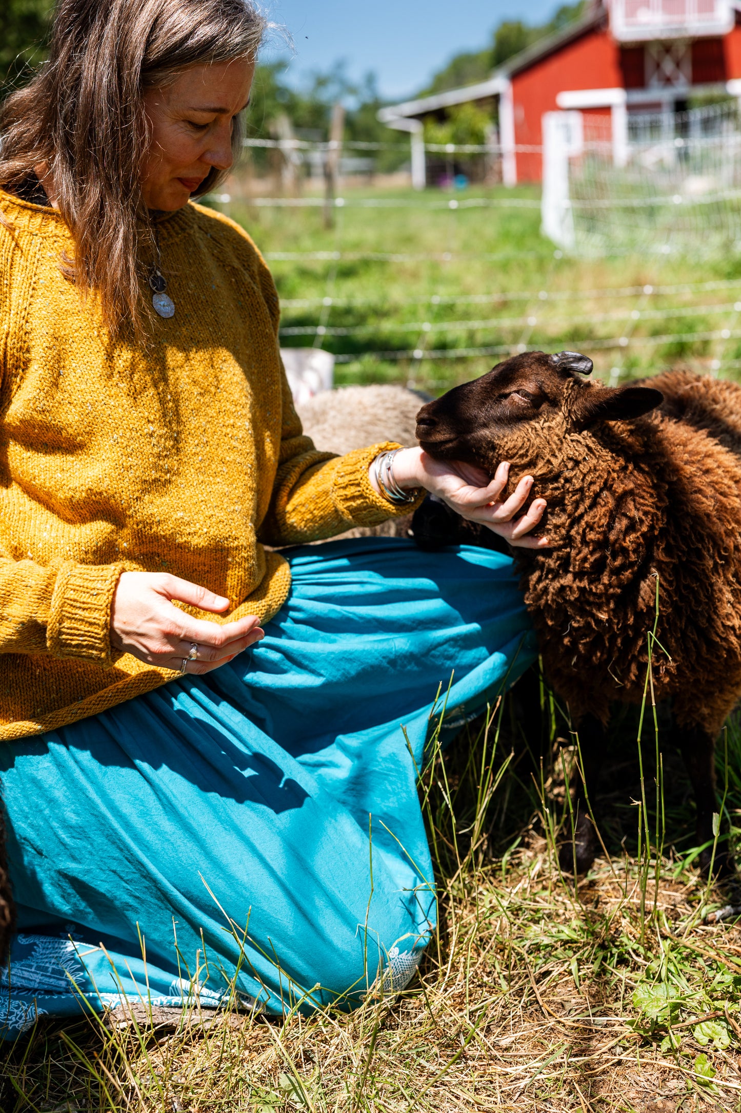 The Winter Lamb Sweater Kit