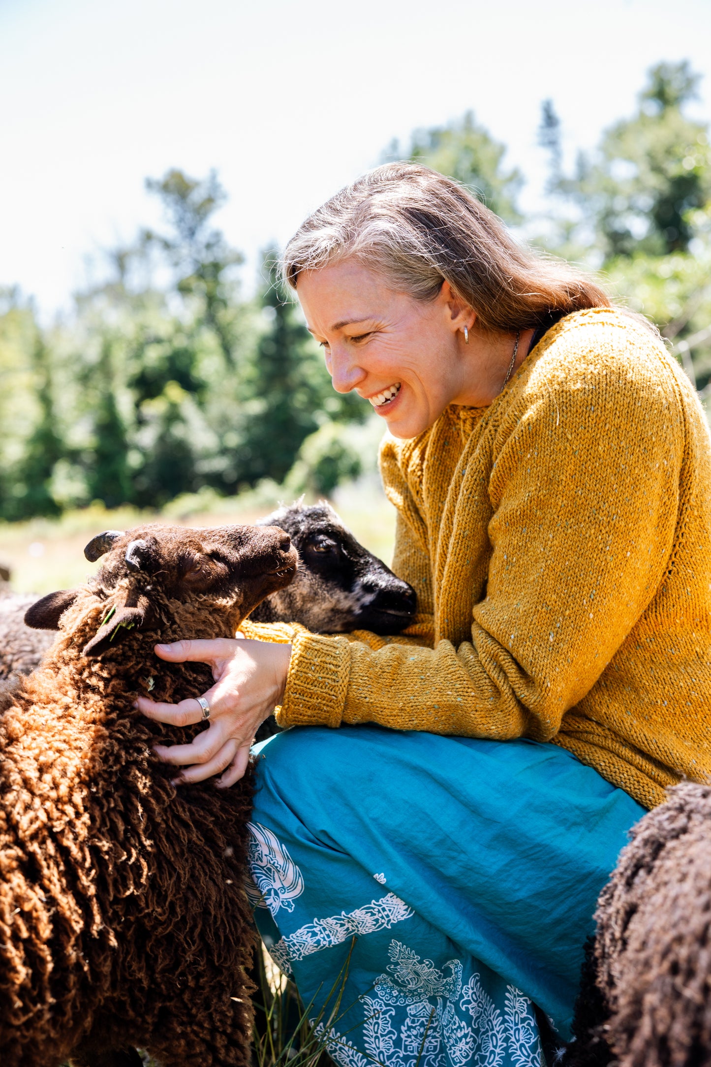 The Winter Lamb Sweater Kit