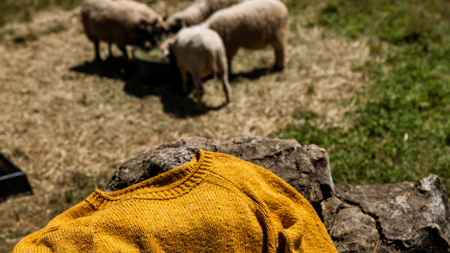 The Winter Lamb Sweater Kit