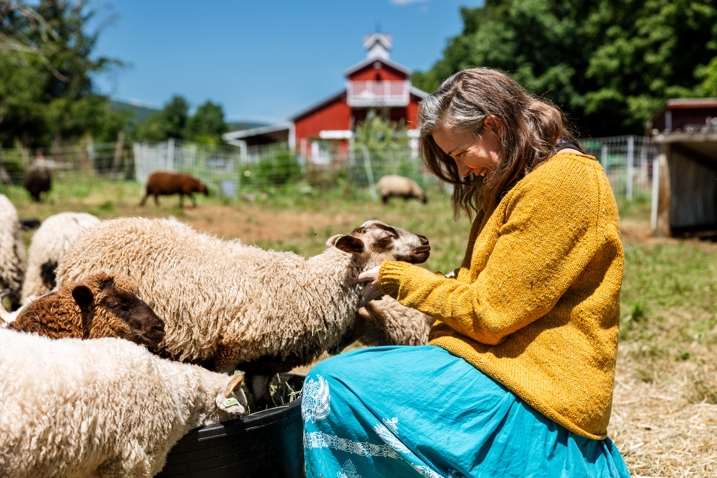 The Winter Lamb Sweater Kit